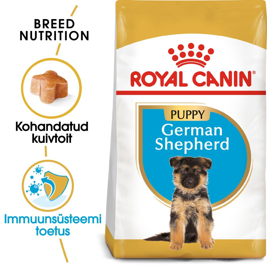 Royal Canin German Shepherd Puppy kuivtoit