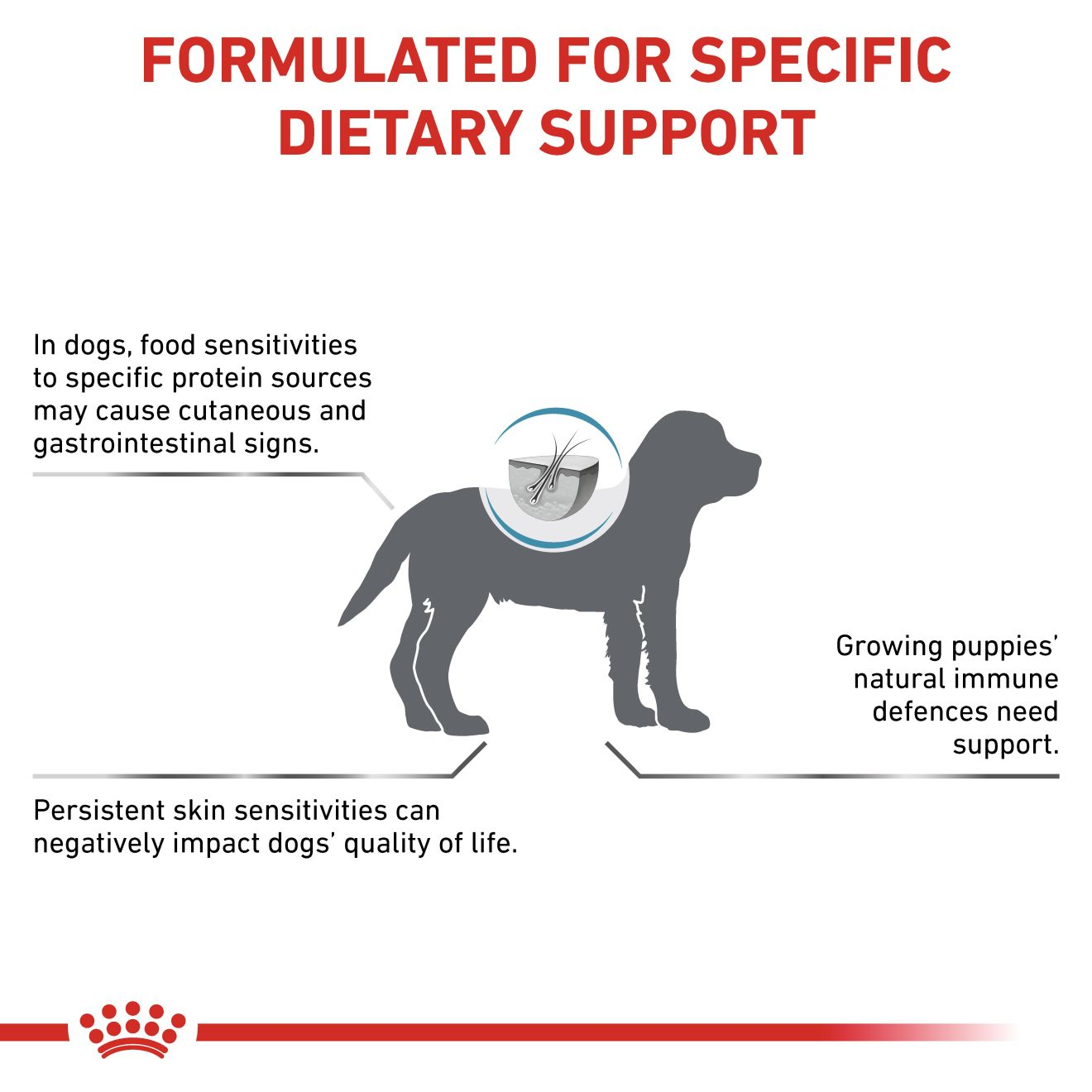 Hypoallergenes Hundefutter E Trockenfutter – 7 Kg, Für Sensible Hunde Royal Canin Hypoallergenic Hund