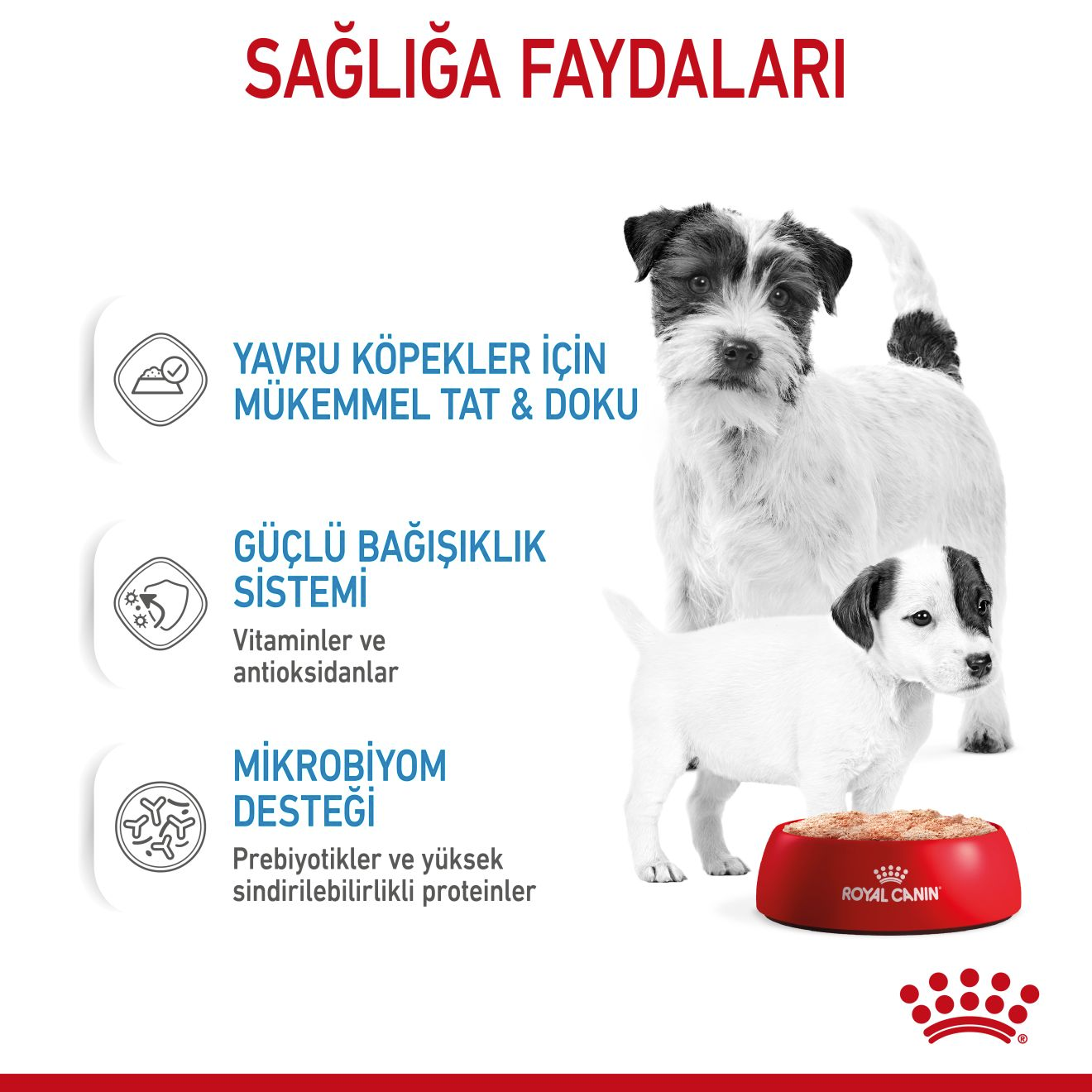 Starter Mousse Mother And Babydog Anne ve Yavru Köpek Yaş Maması