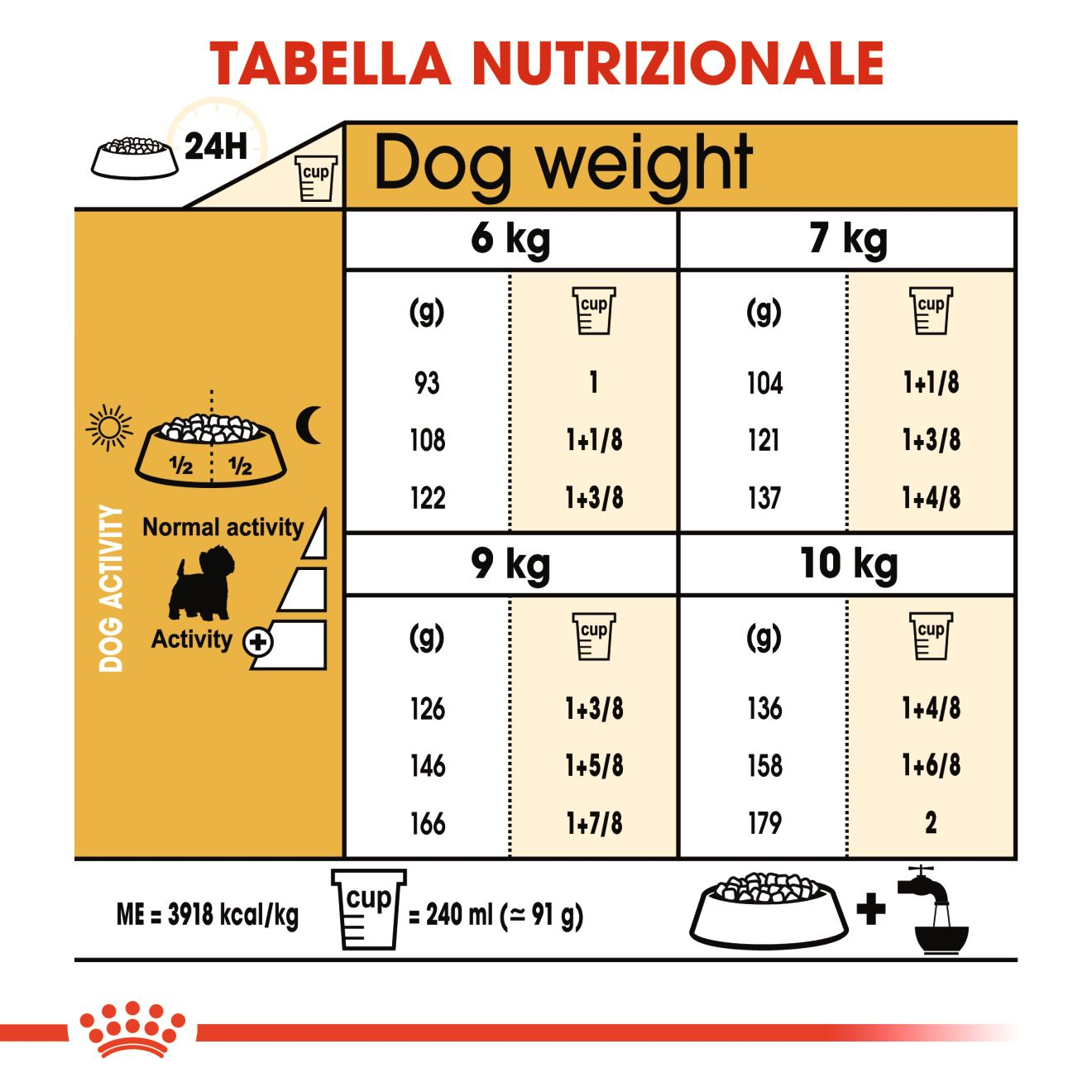 West Highland White Terrier Adult