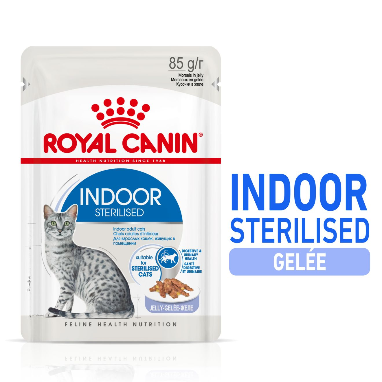 Indoor Sterilised Jelly (émincés en gelée)
