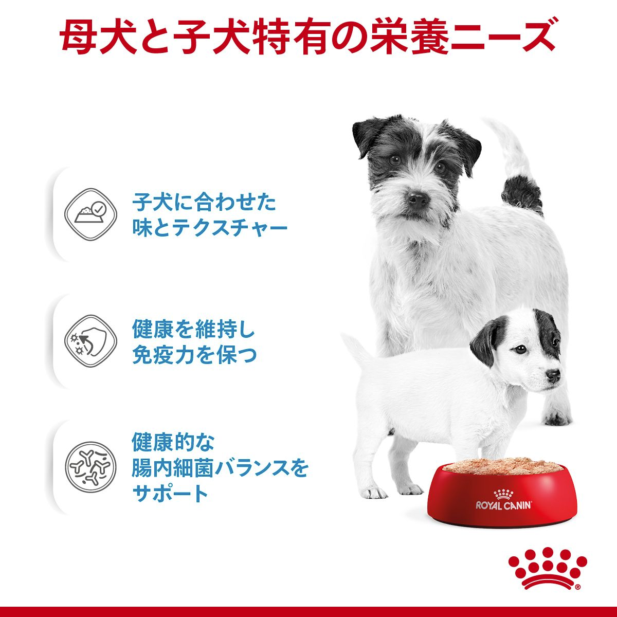 スターター ムース マザー＆ベビードッグ 子犬＆母犬用