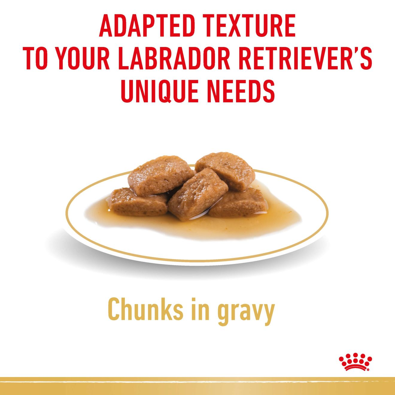 Labrador Retriever Gravy