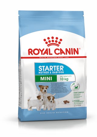 ROYAL CANIN Mini Starter Mother & Babydog karma sucha dla suk w ciąży i okresie laktacji oraz szczeniąt, od 4 do 8 tygodnia, ras małych 