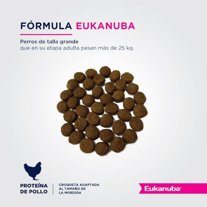 Eukanuba Puppy Large Breed - Cachorro Talla Grande