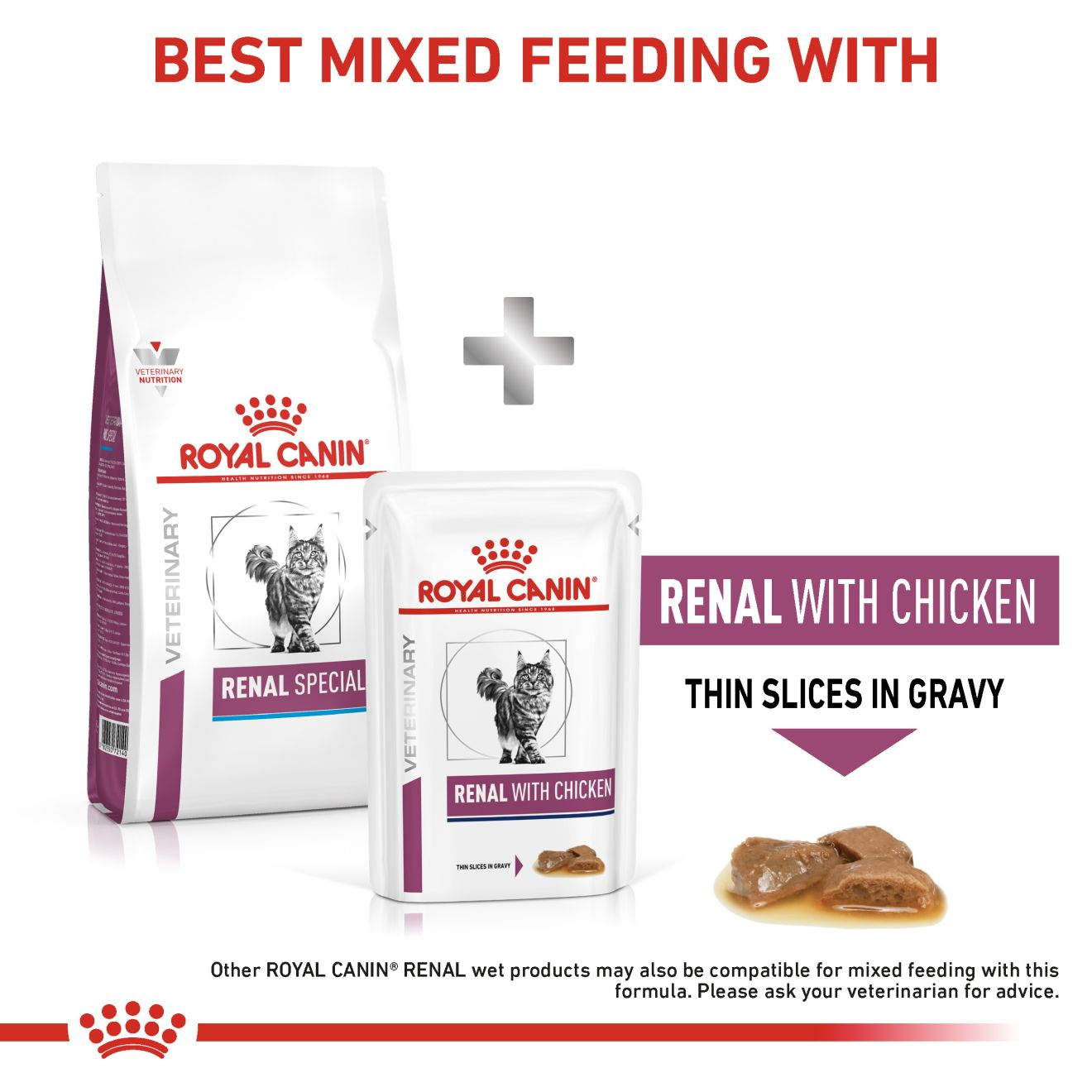 Royal canin renal special dog outlet food