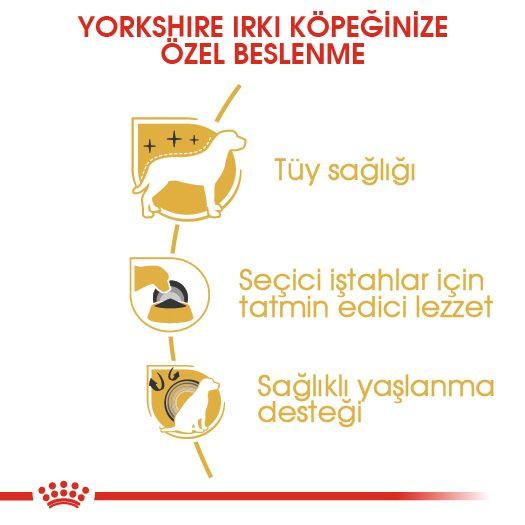 Yorkshire Terrier Adult Yetişkin Köpek Kuru Maması
