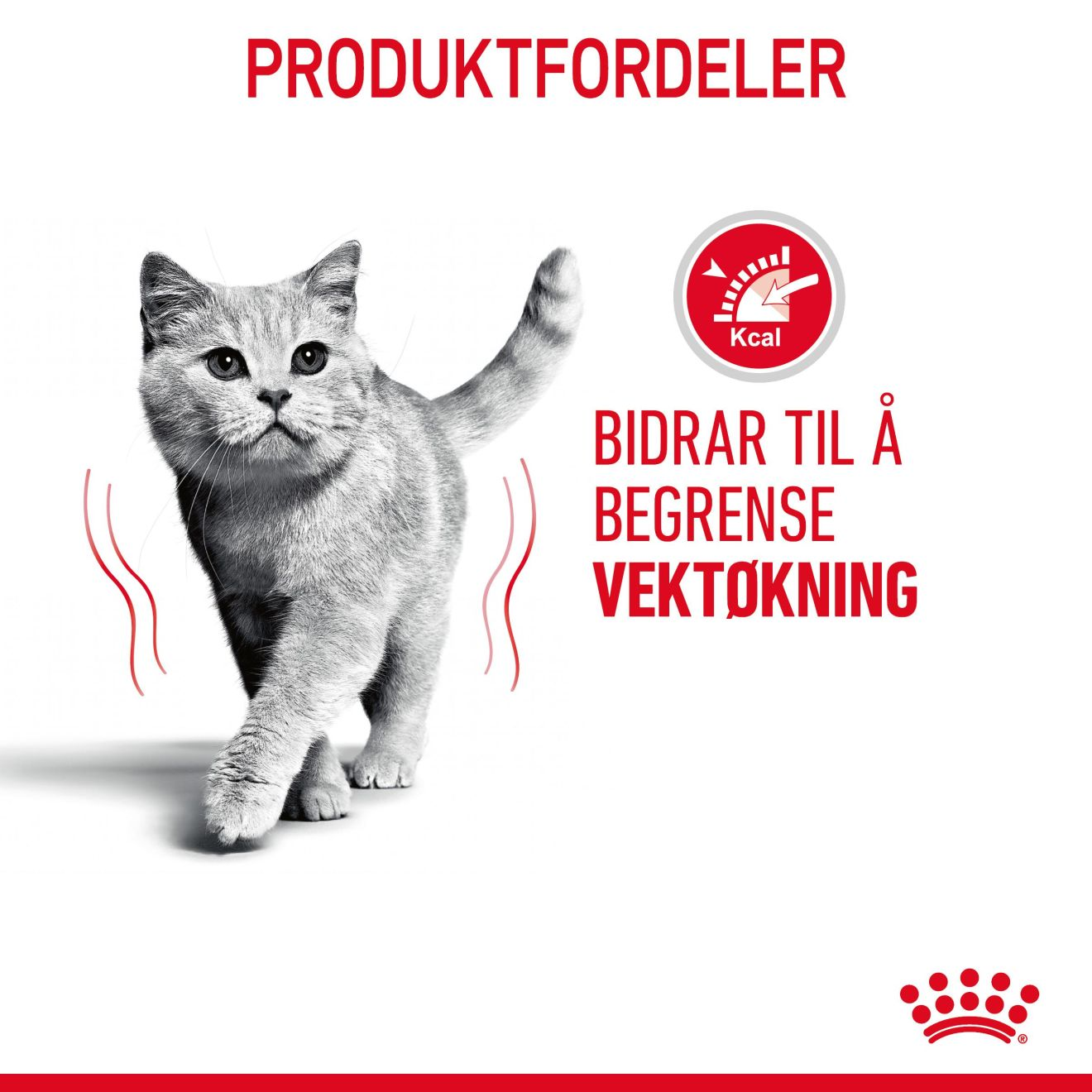 Light Weight Care Jelly Adult 