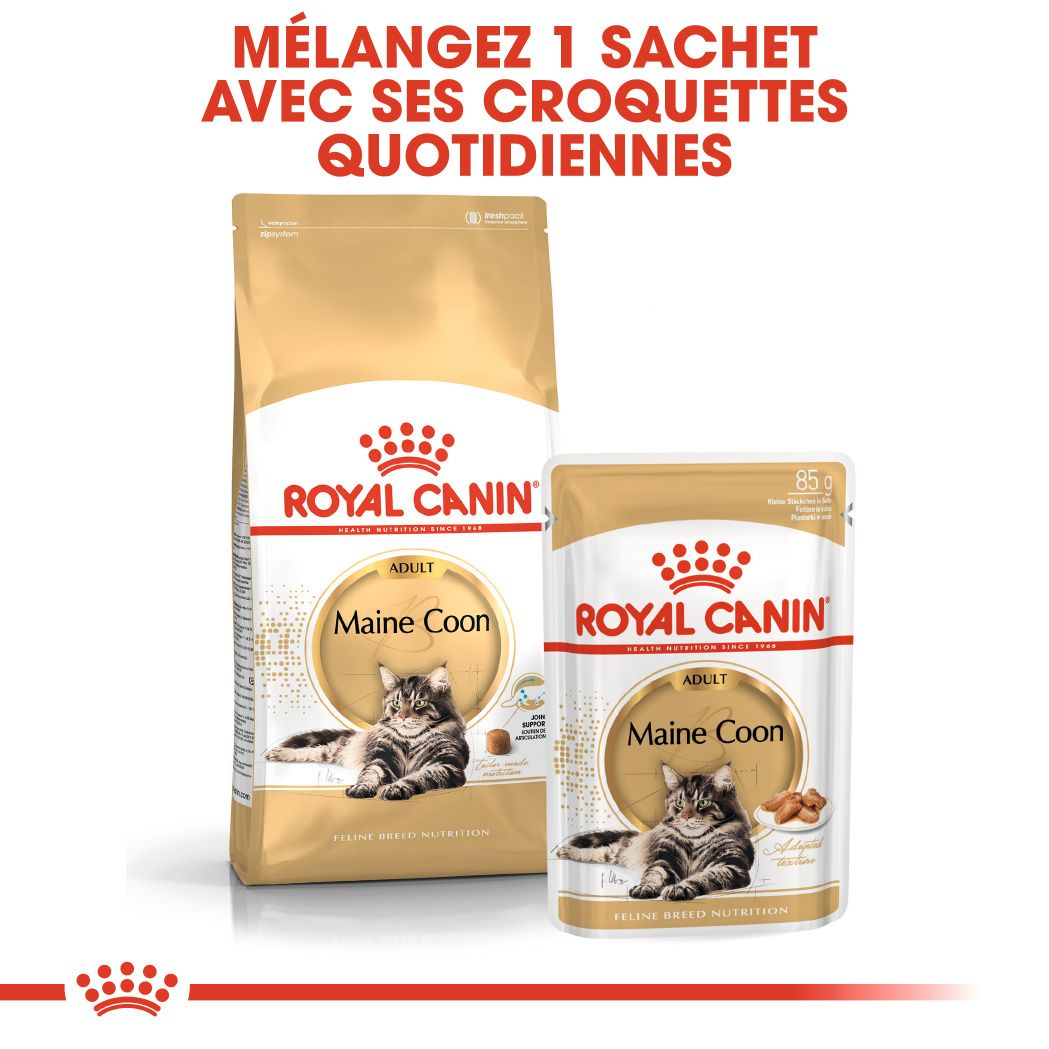 Maine Coon Bouchées Spécial