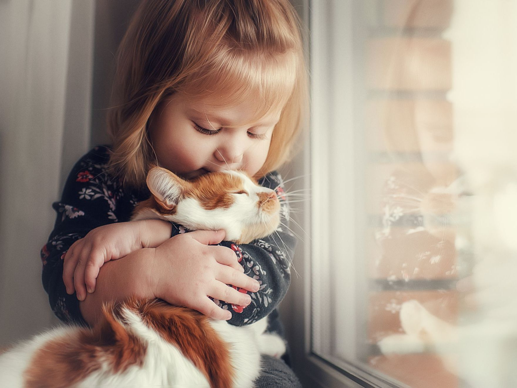 Portrait d’une petite fille tenant un chat