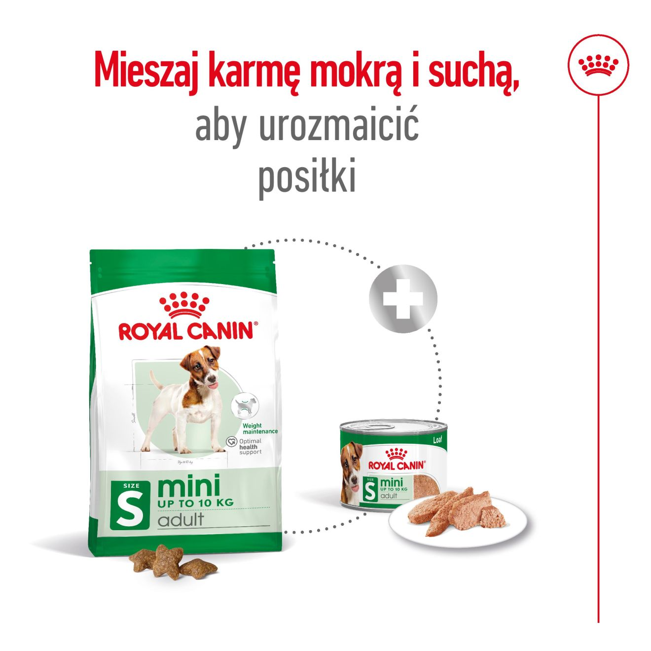 SHN Mini Adult