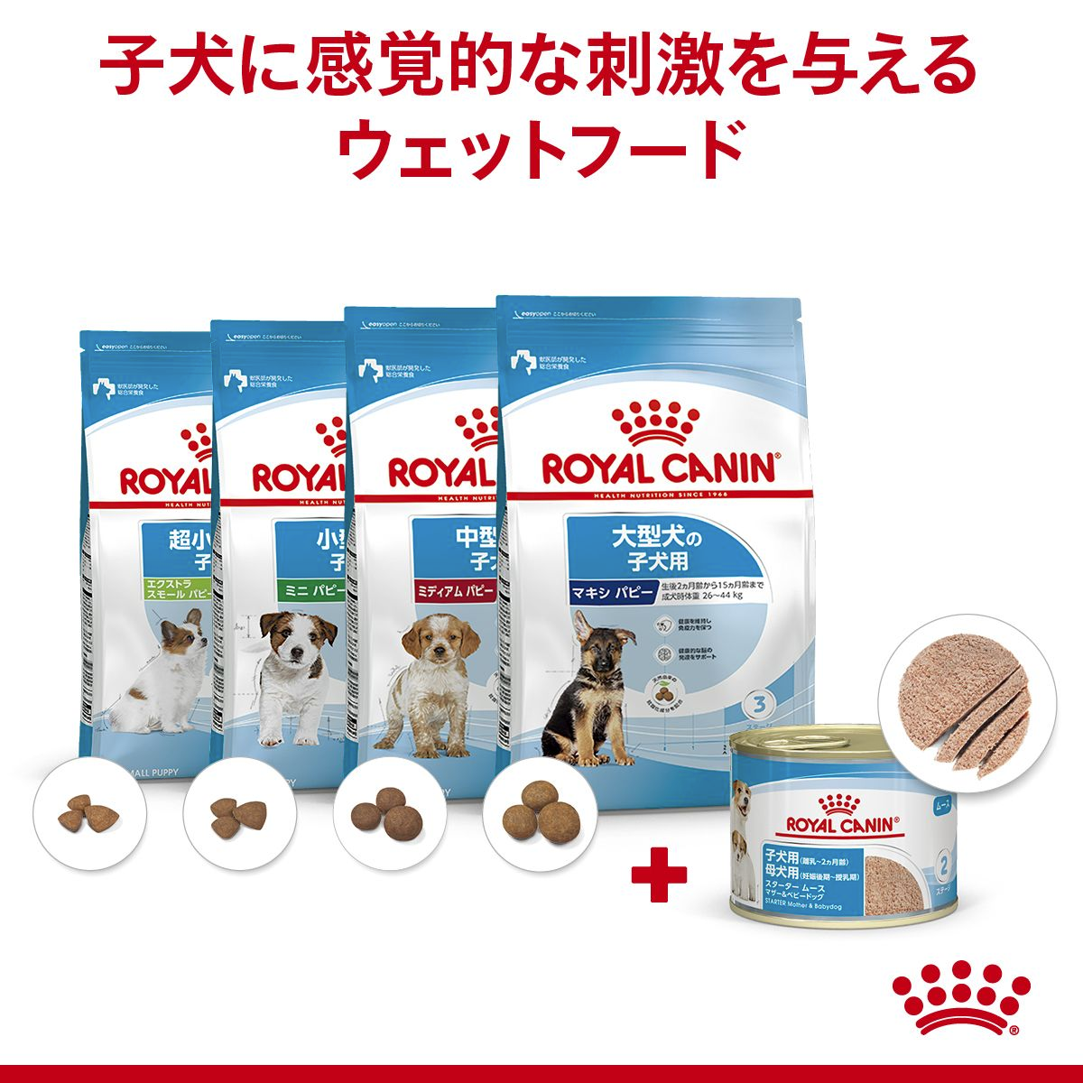 スターター ムース マザー＆ベビードッグ (子犬・母犬用