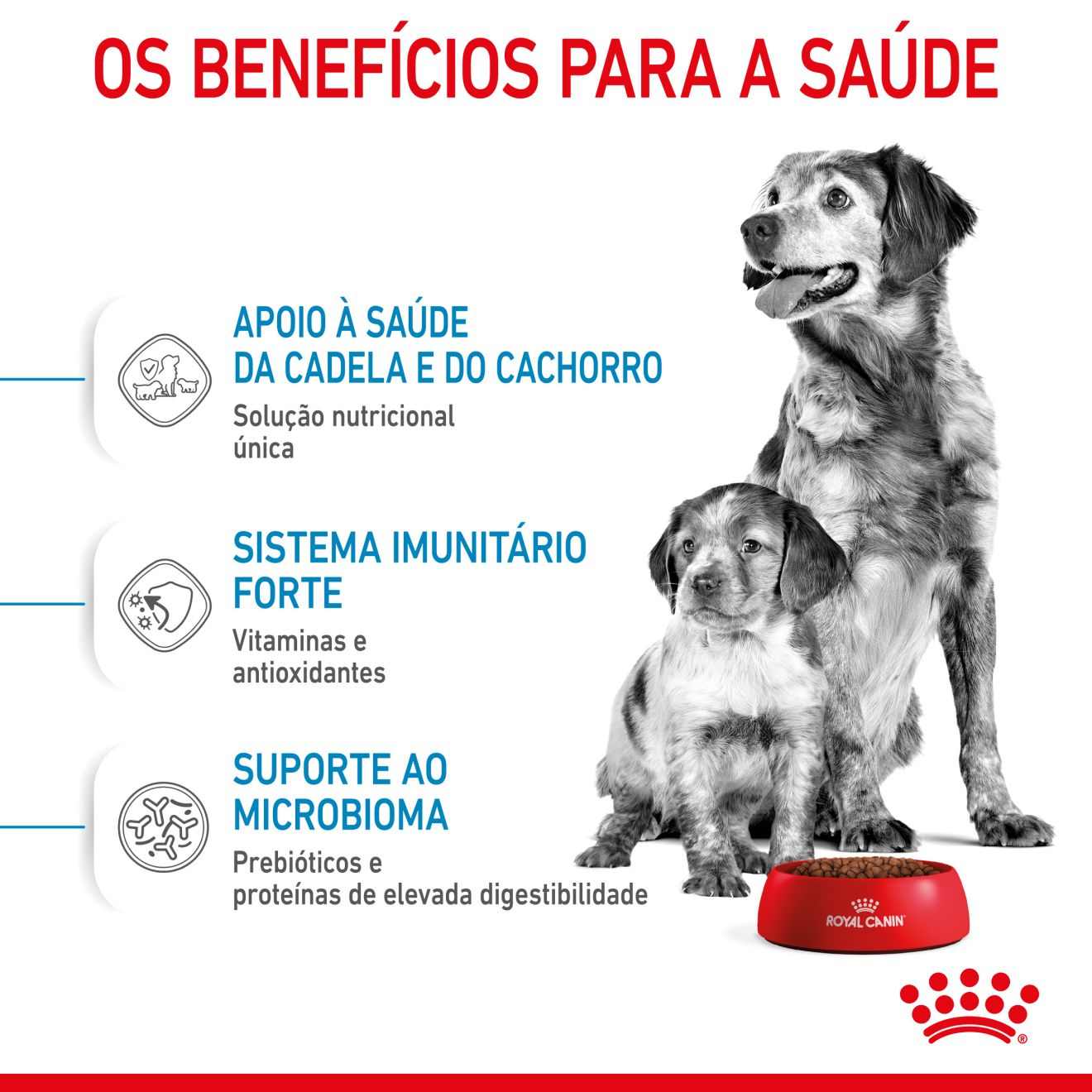 STARTER Mother & Babydog - MEDIUM