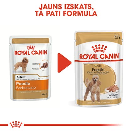 RC-BHN-Wet-Poodle-CV-Eretailkit-4-lv_LV