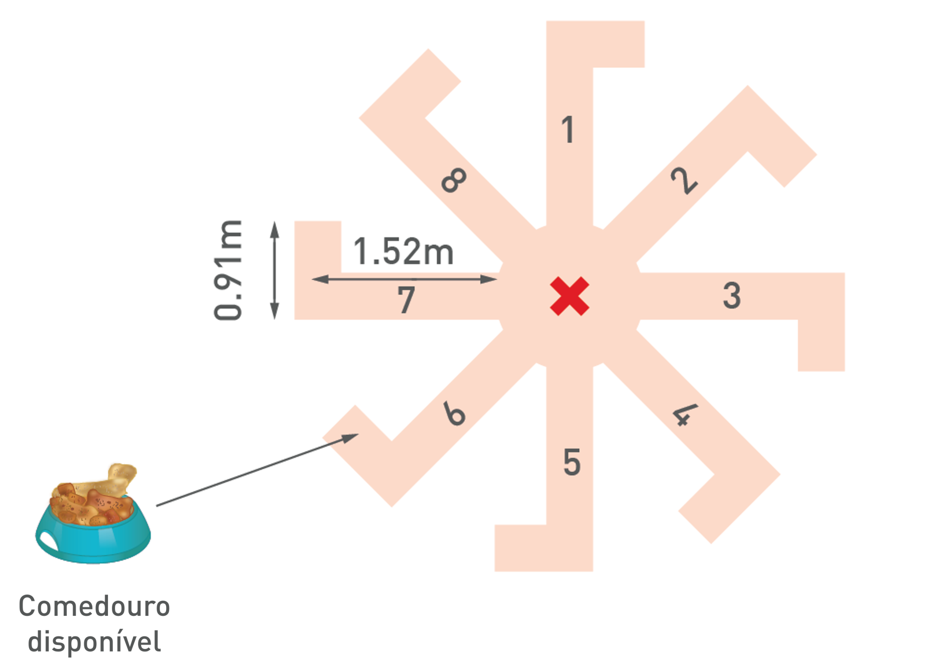 O labirinto radial de 8 braços usado no Estudo 3