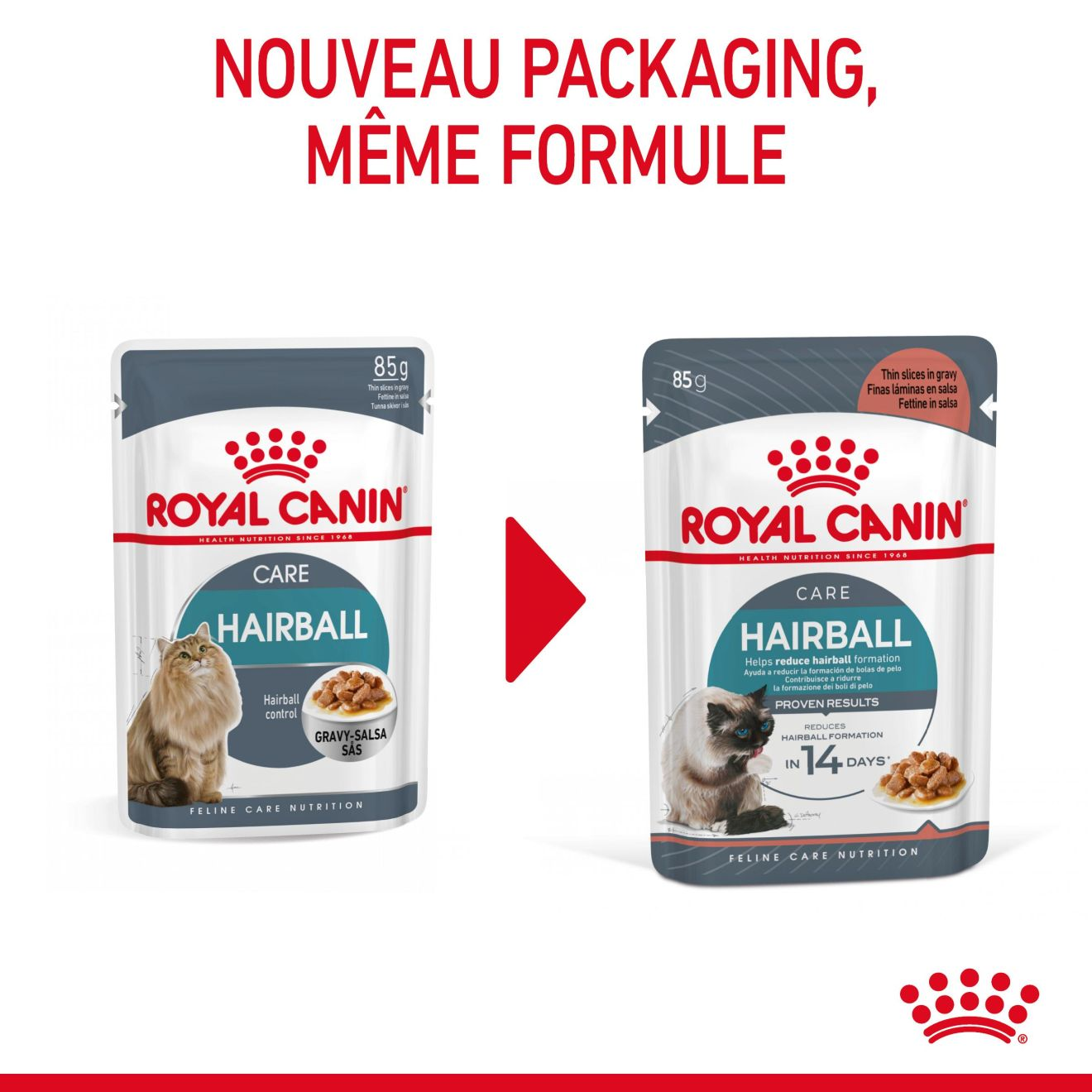 Hairball Care en sauce