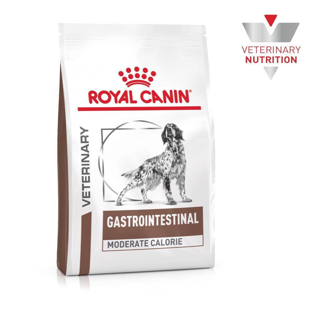 Royal canin gastro intestinal hot sale moderate