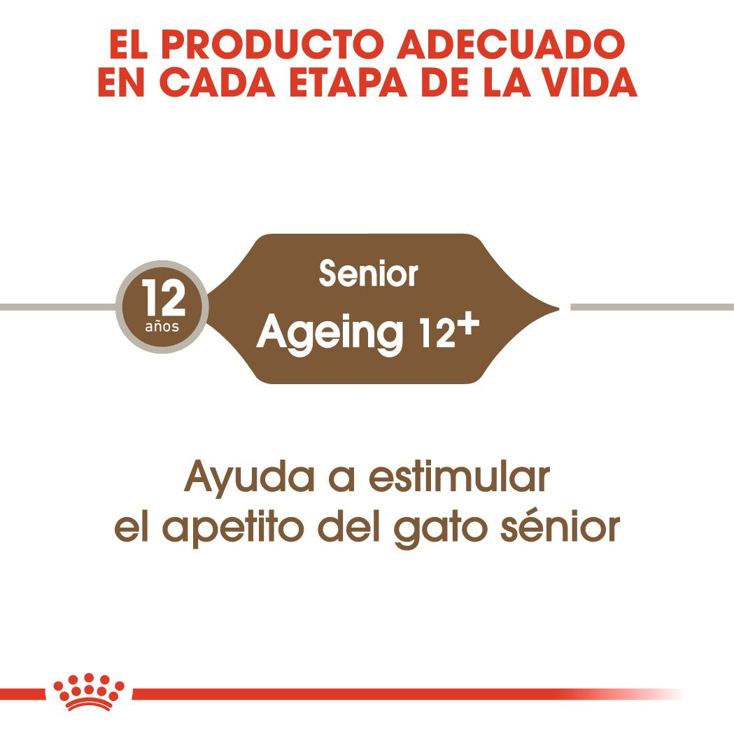 Ageing 12+