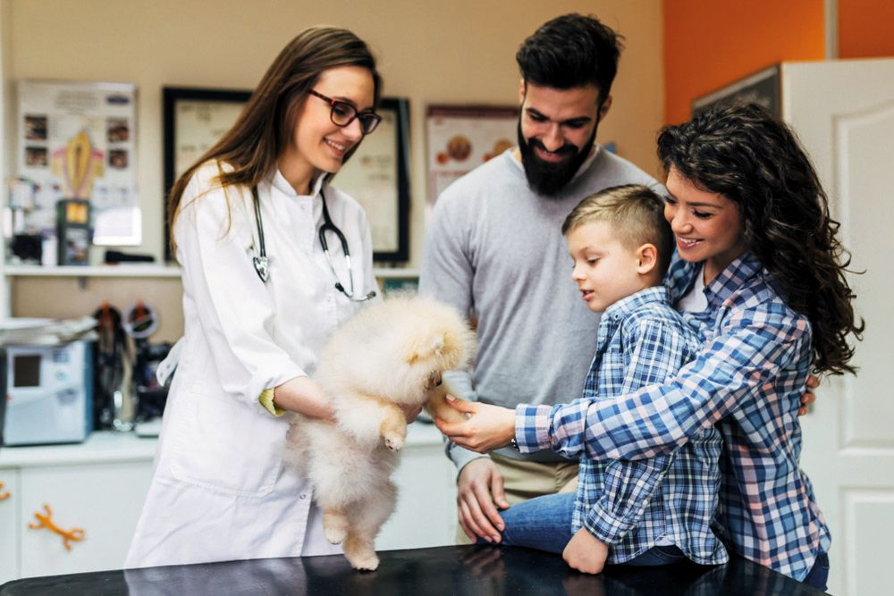 Las primeras visitas de un cachorro en la clínica son una gran oportunidad para hablar con los propietarios sobre la alimentación y el control de peso