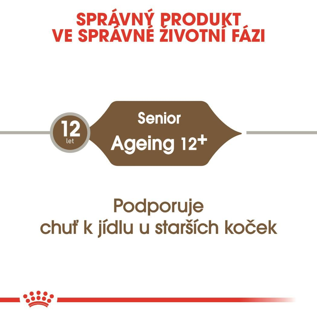 AGEING 12+