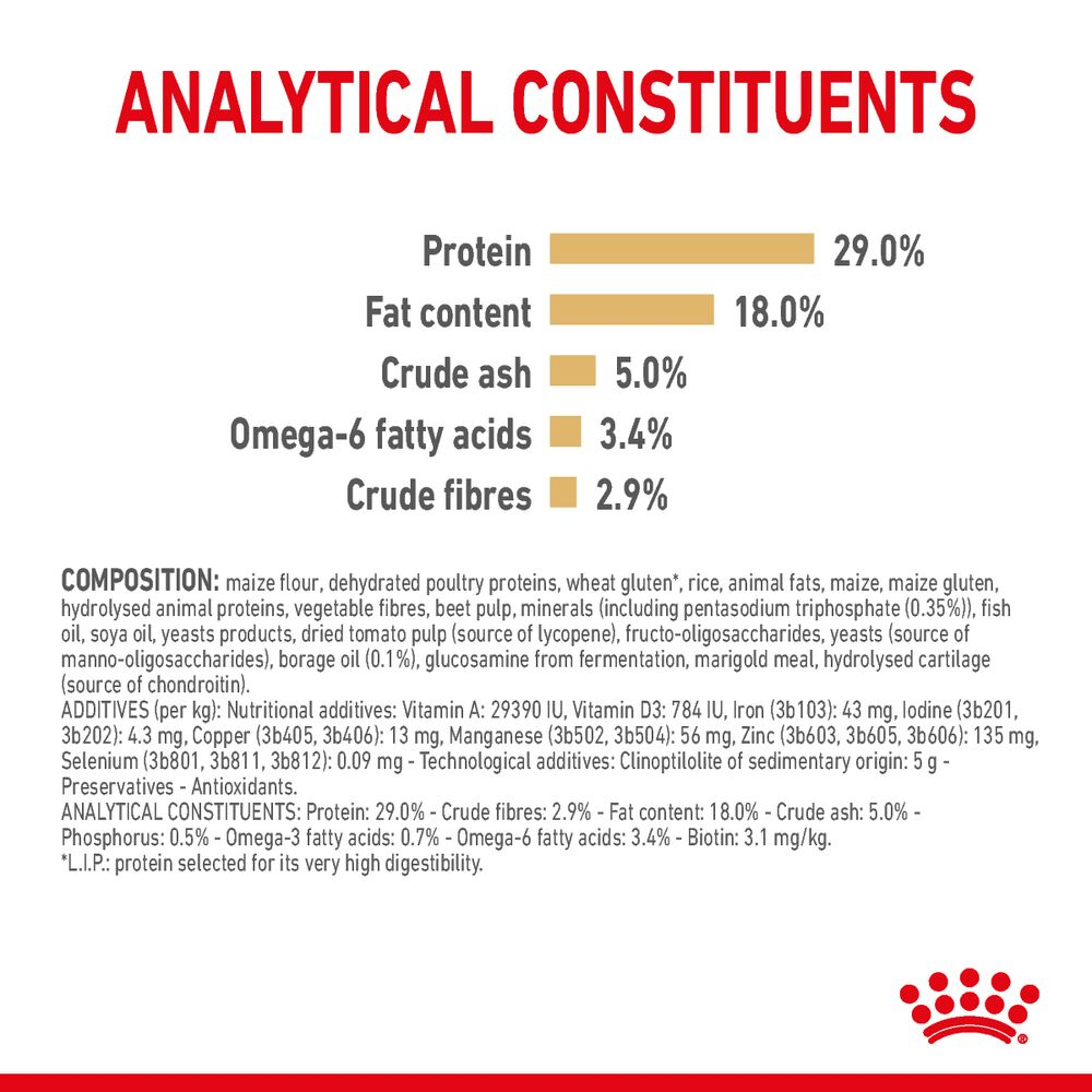 Yorkshire Terrier 8+