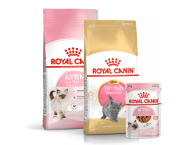 Kitten packages