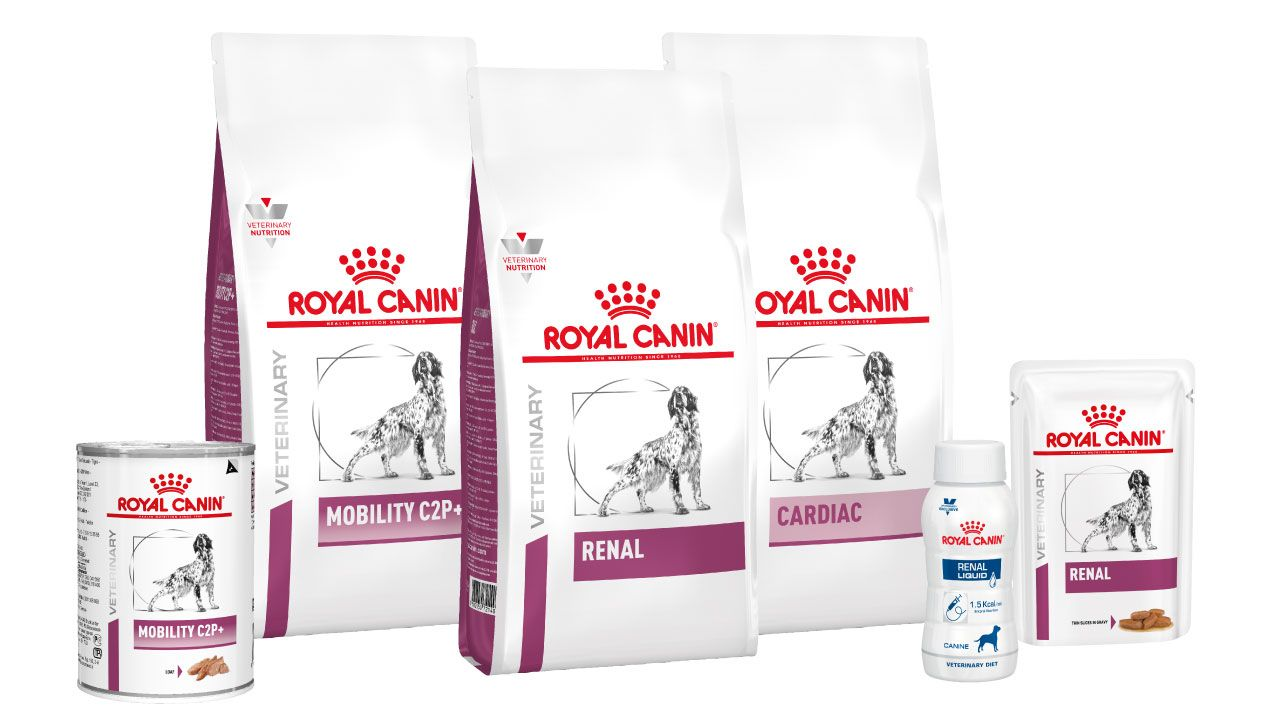 Dog kidney care range pack shot