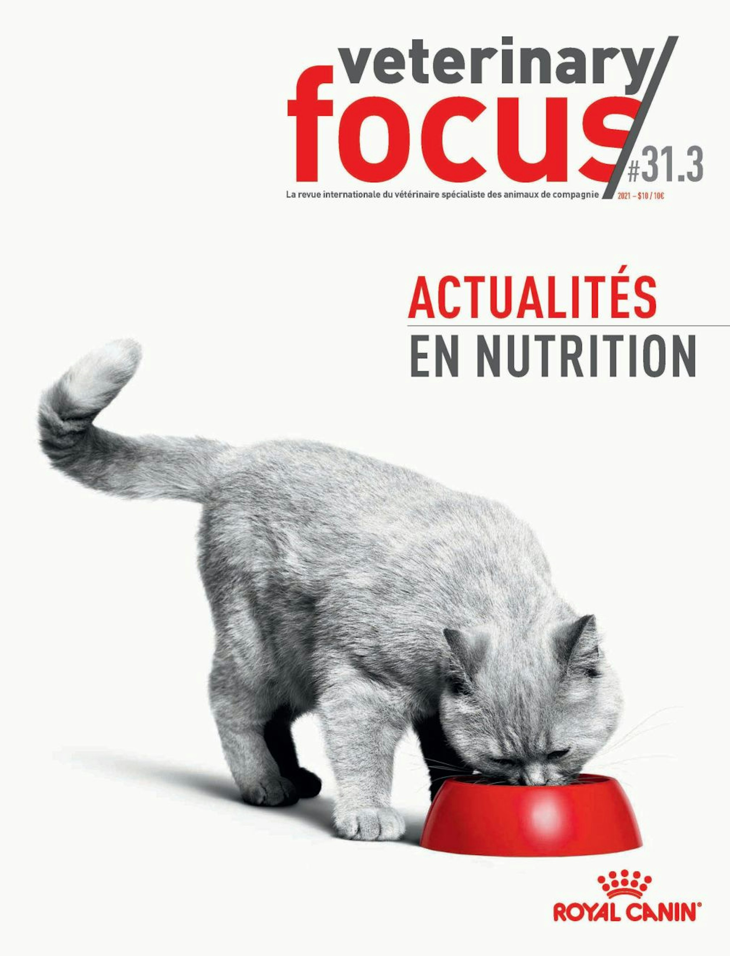 Vet Focus 31.3 nutrition FR