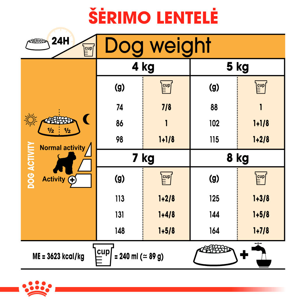 Miniature Schnauzer  Adult