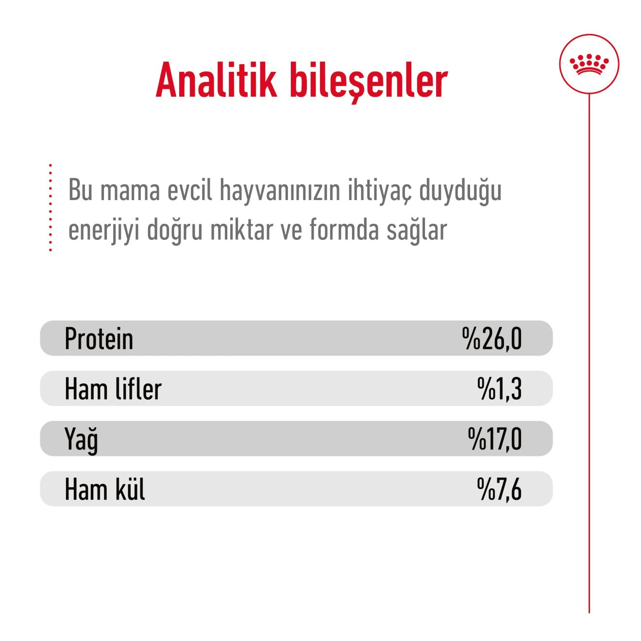 Maxi Adult Yetişkin Köpek Kuru Maması