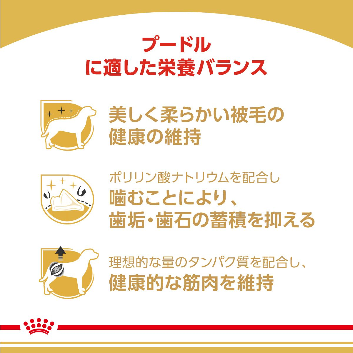 CANIN プードル 成犬用 ドライフード 7.5k2個 Amazon.co.jp
