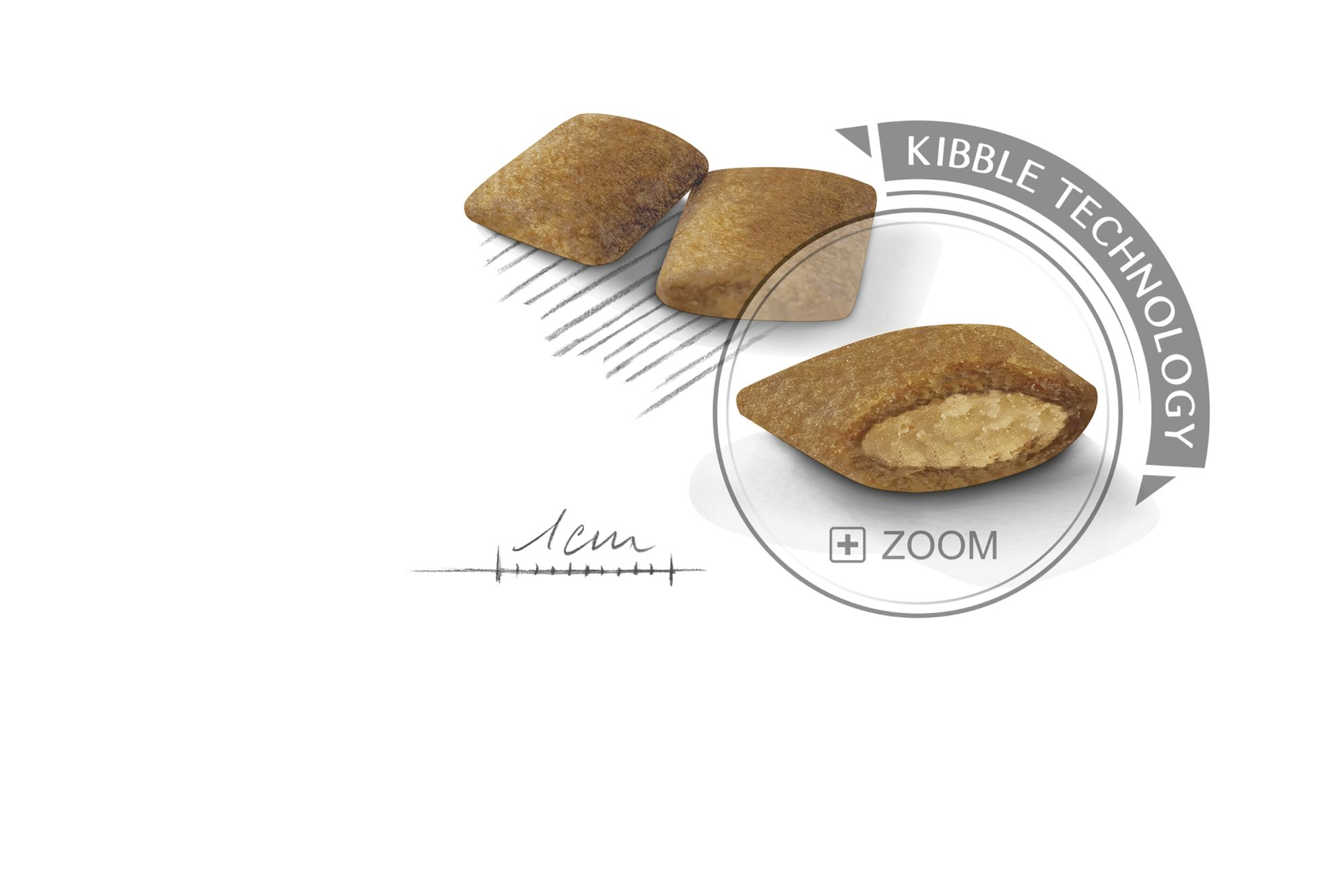 royal canin exigent dog food