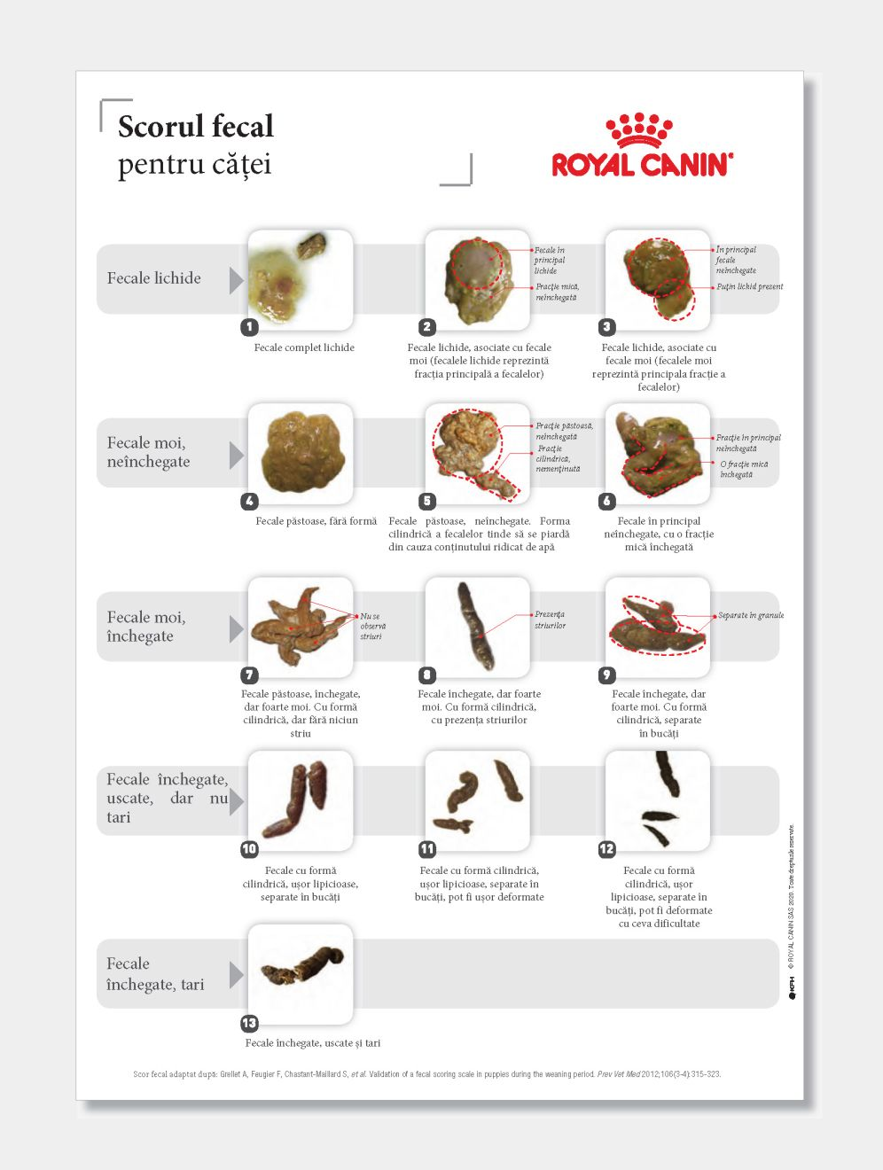 Figura 1. Scorul fecal pentru căței