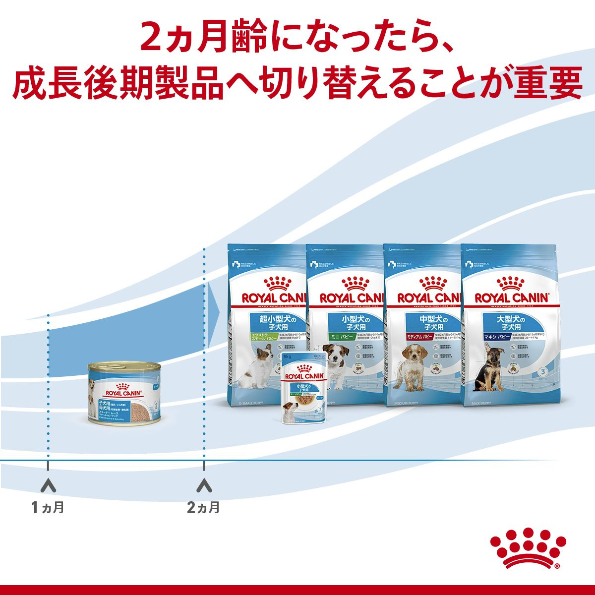 スターター ムース マザー＆ベビードッグ 子犬＆母犬用