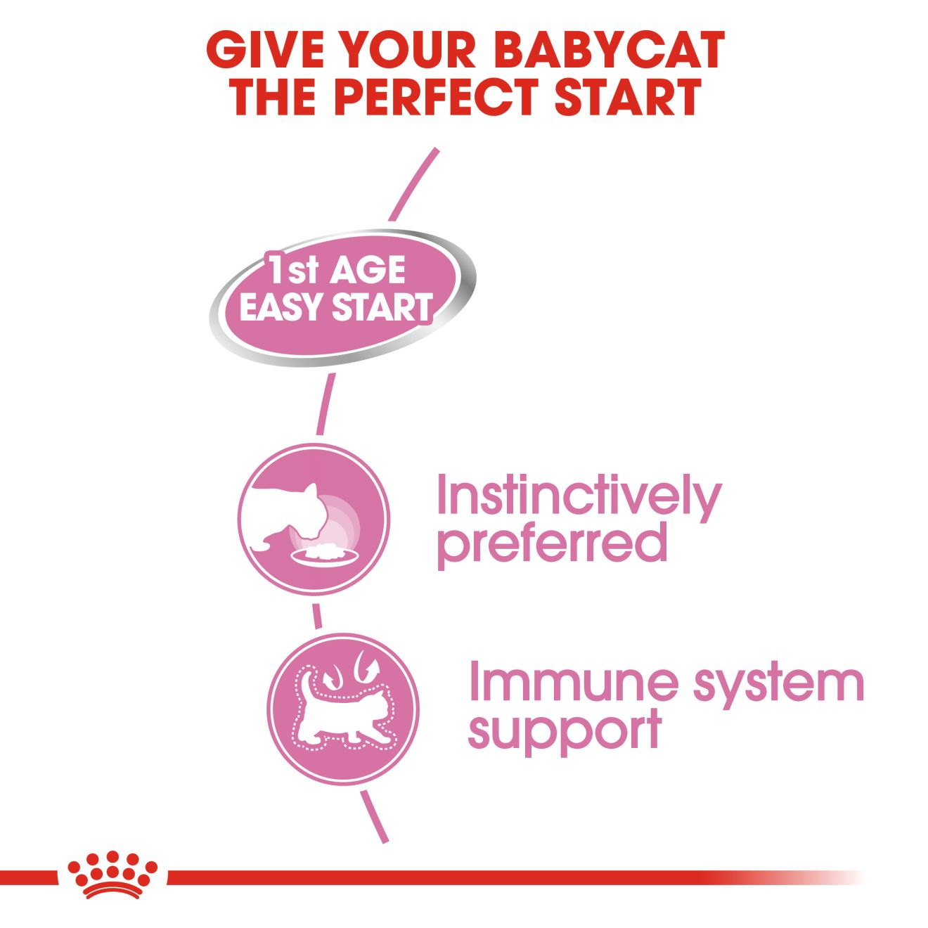 Mother and Babycat Ultra Soft Mousse Royal Canin Singapore