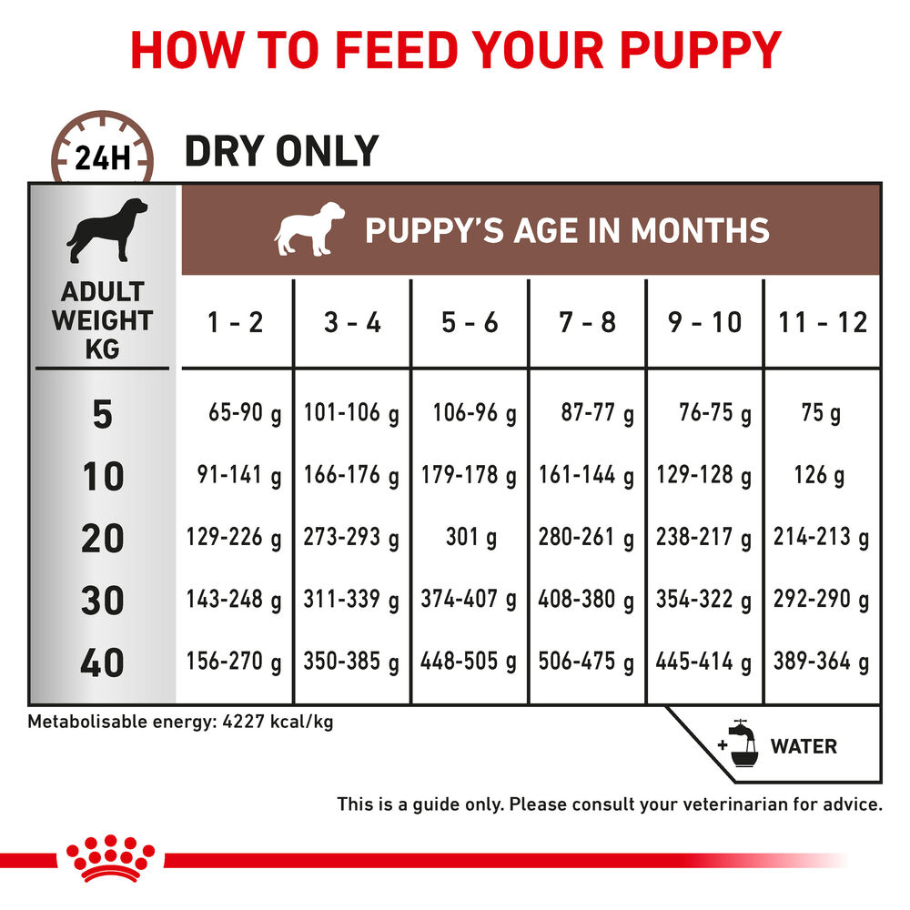 Royal canin puppy shop how much to feed