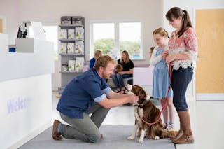 The importance of pet owner experience