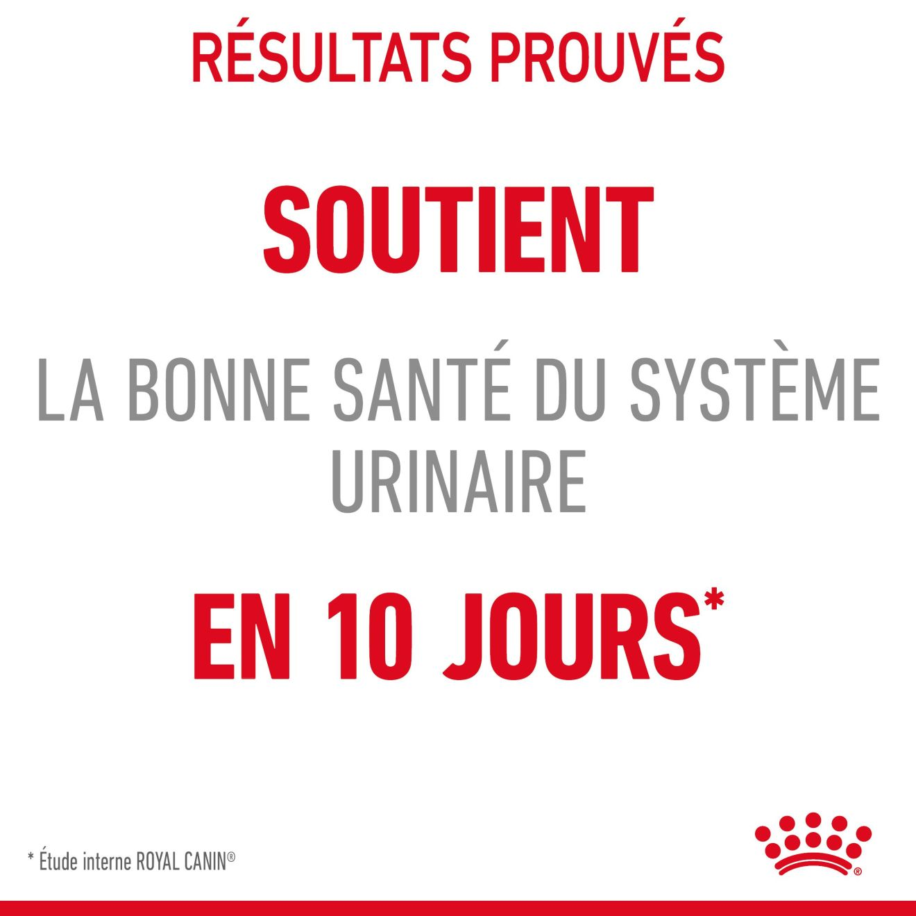 Royal Canin Urinary Care sauce au meilleur prix sur