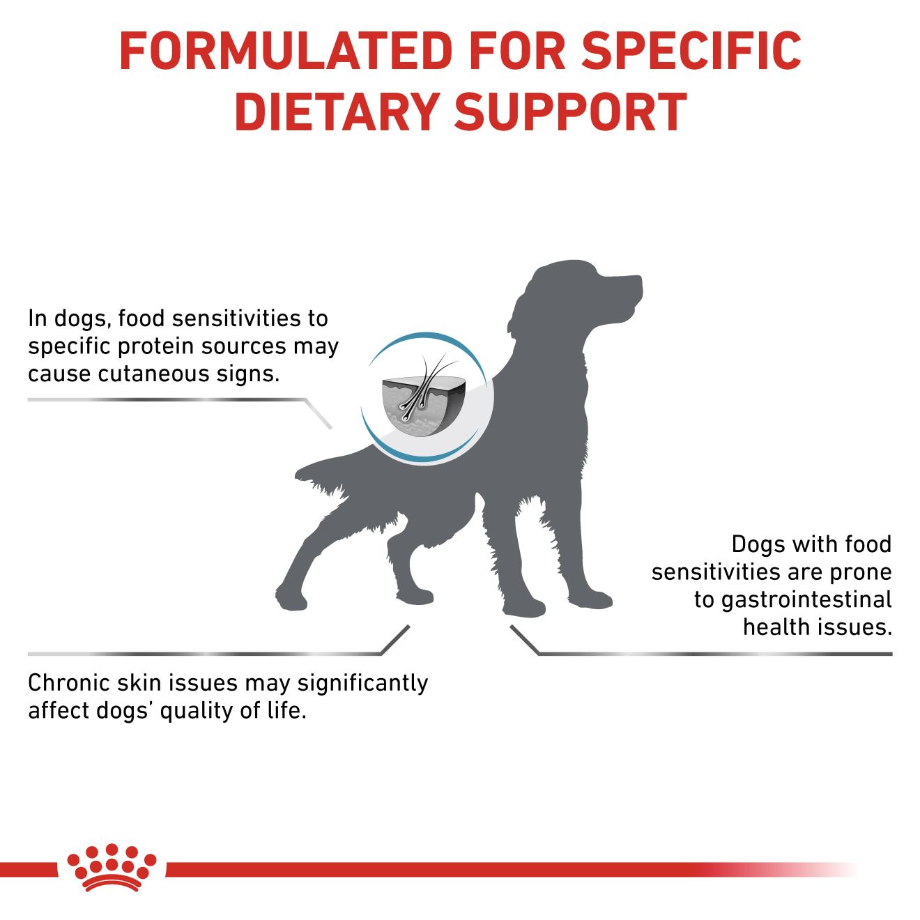 HYPOALLERGENIC für Hunde