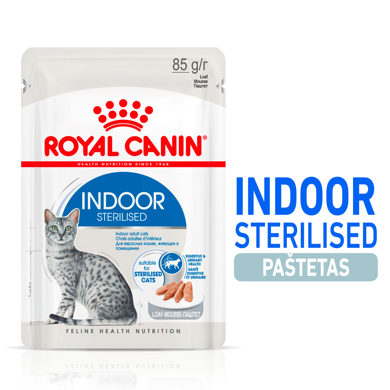 Indoor Sterilized in Loaf