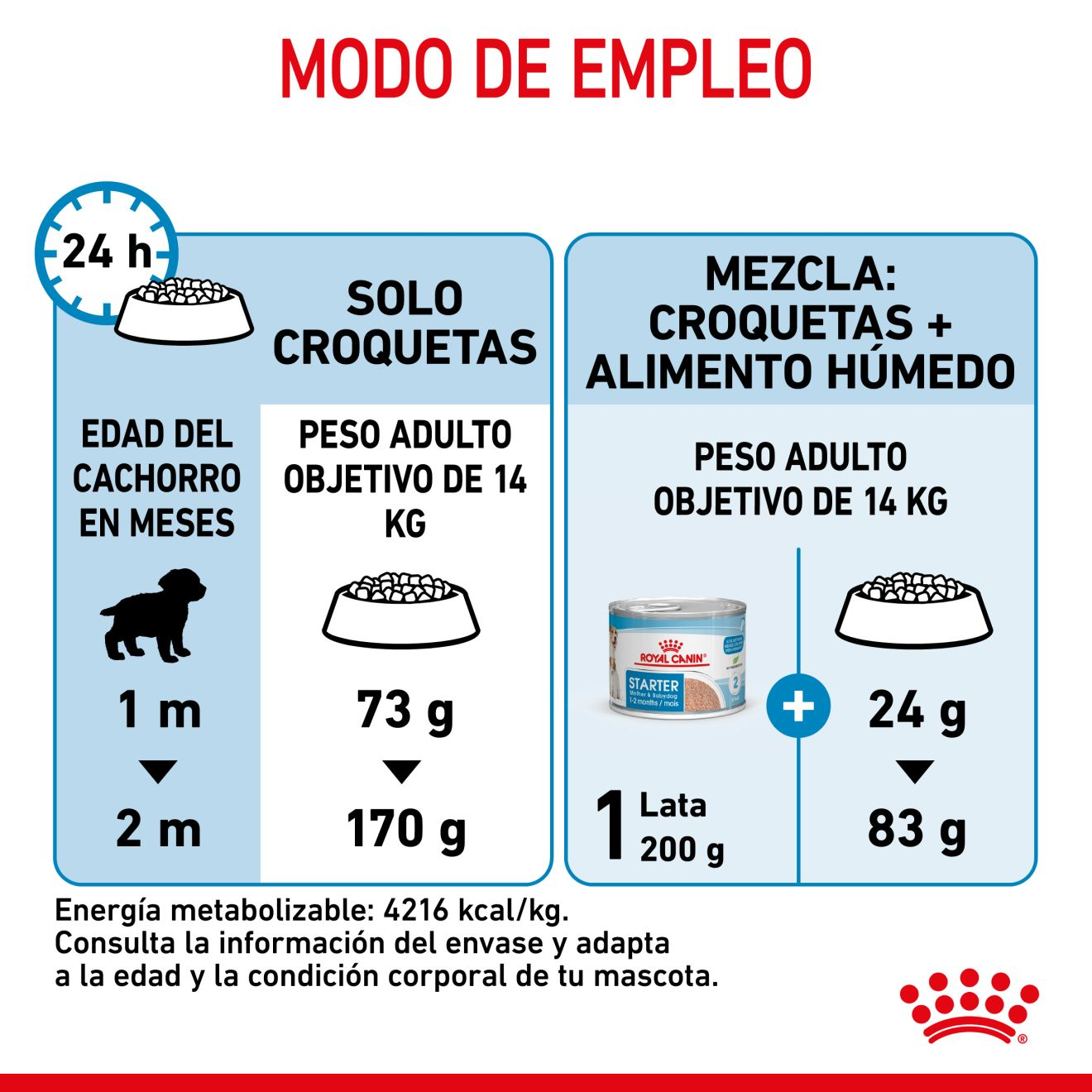 STARTER Mother & Babydog - MEDIUM