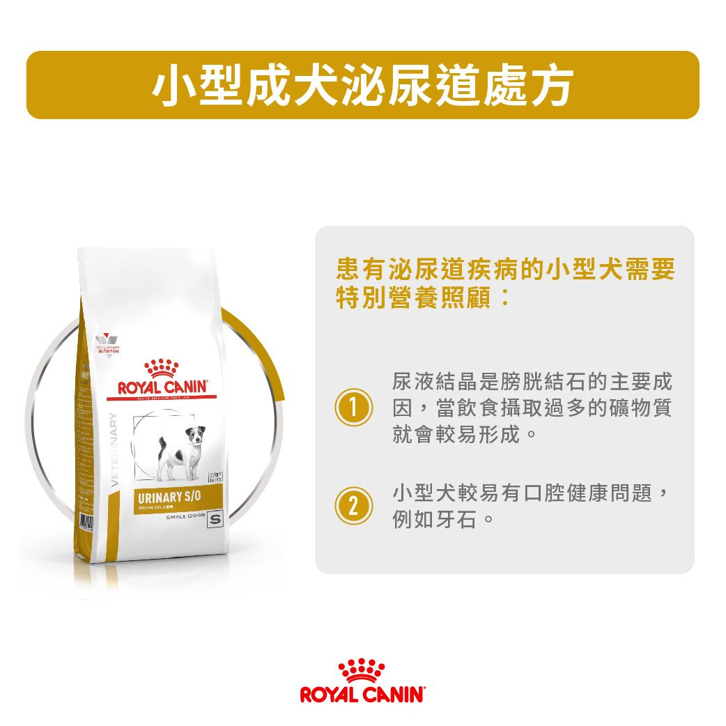 小型成犬泌尿道處方