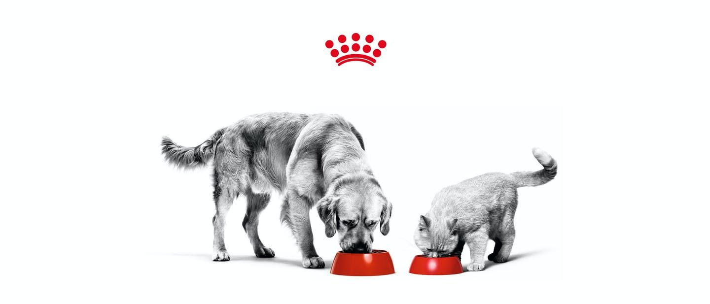 Royal Canin logo with pets