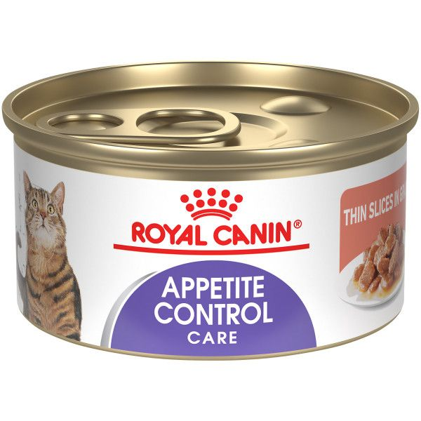 Appetite control cat clearance food