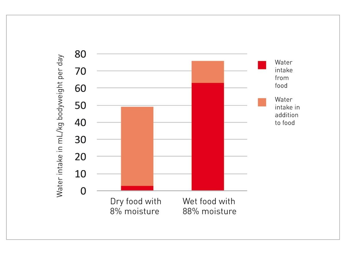 Fluid intake of cats fed dry and wet diets ( 8 ).