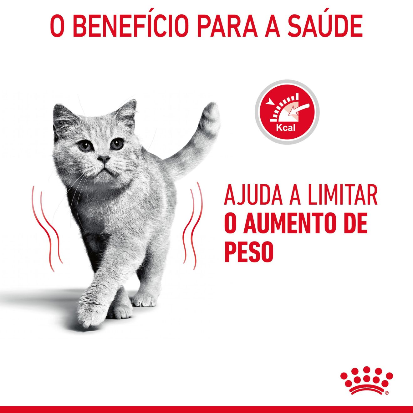 LIGHT WEIGHT CARE Fatias finas em molho