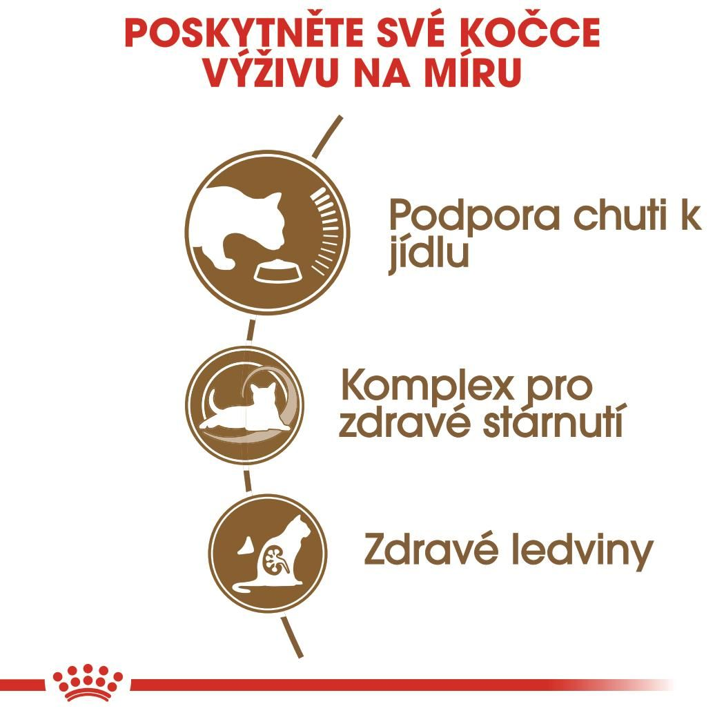 AGEING 12+