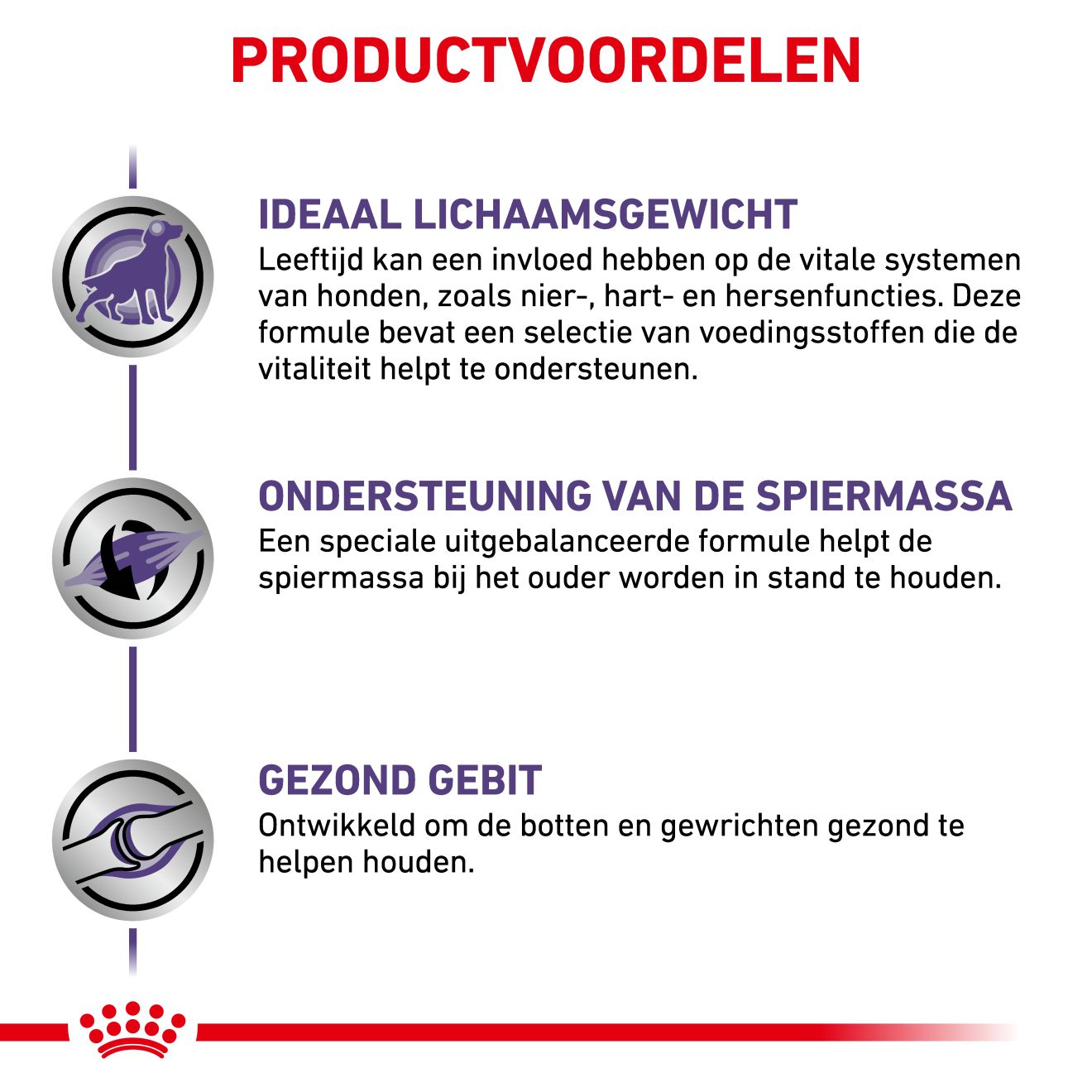 Mature Consult Large Dogs