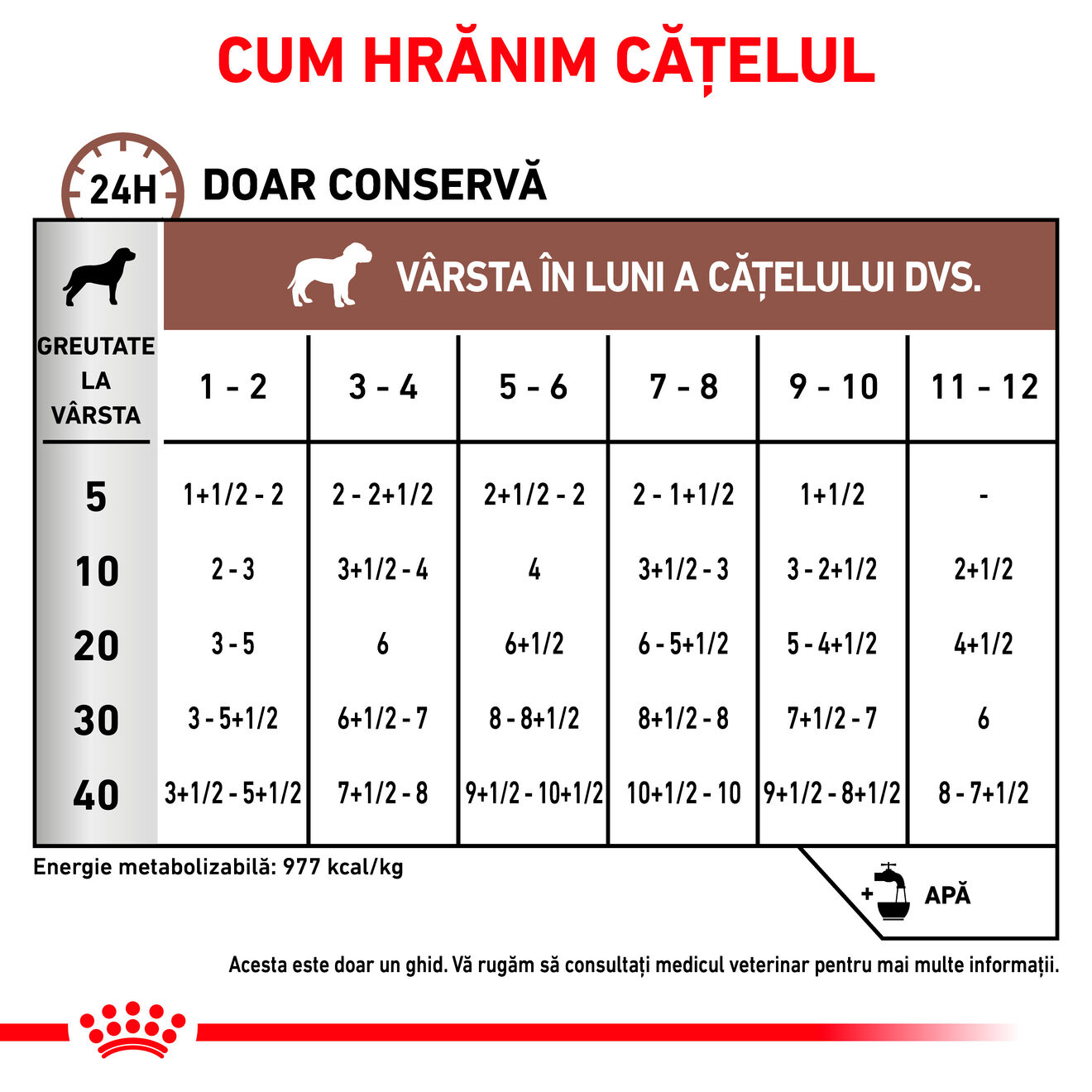 GASTROINTESTINAL PUPPY