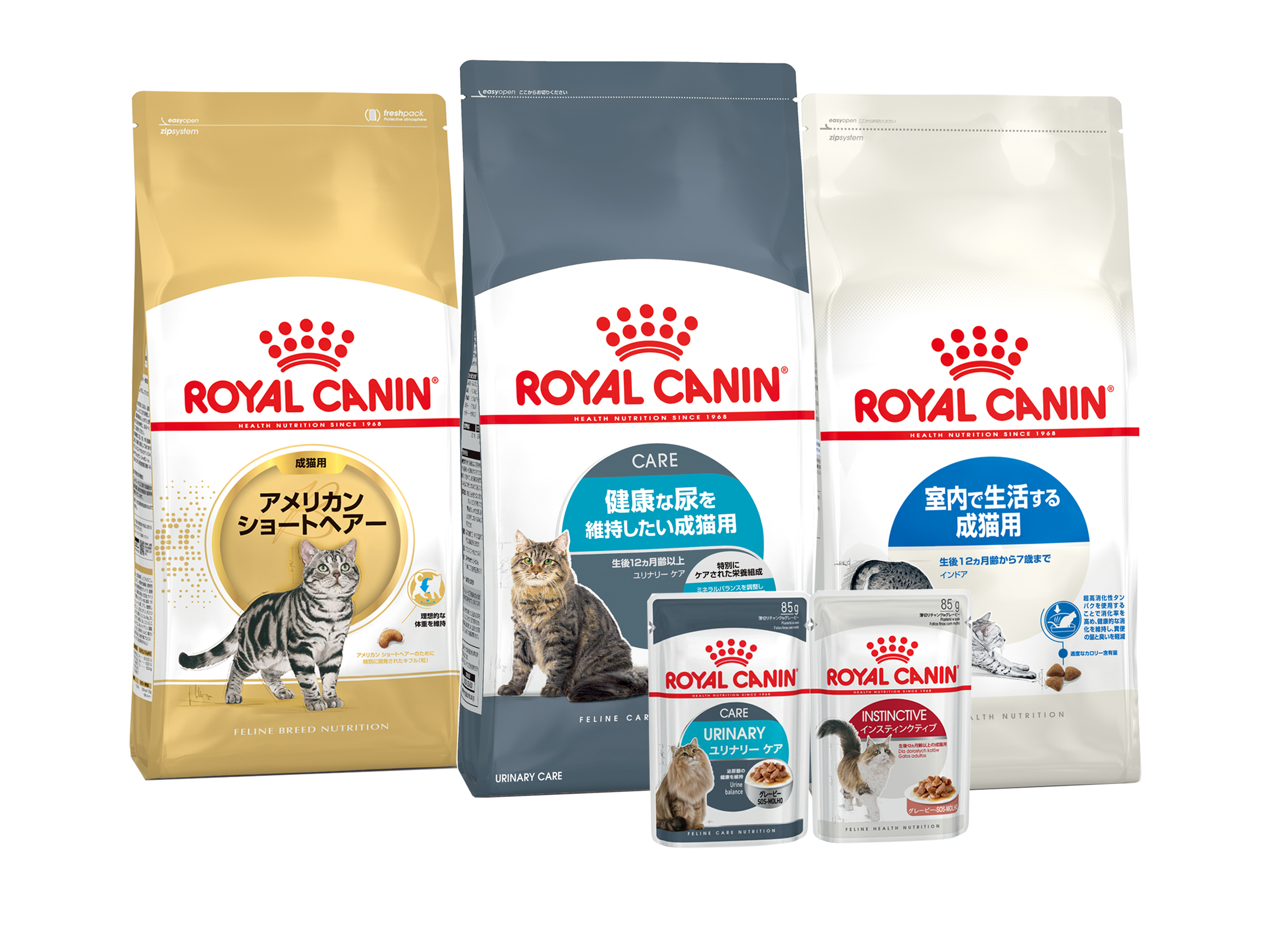 猫用食事療法食 ロイヤルカナン